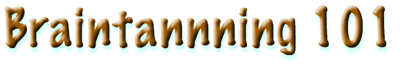 Braintannning 101