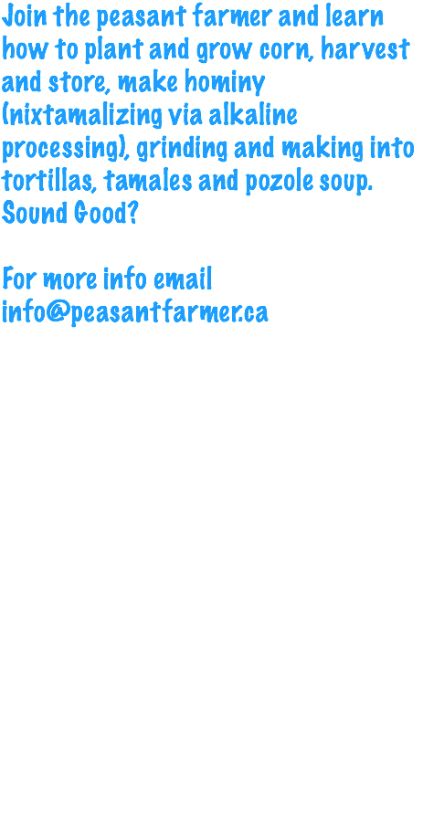 Join the peasant farmer and learn how to plant and grow corn, harvest and store, make hominy (nixtamalizing via alkaline processing), grinding and making into tortillas, tamales and pozole soup. Sound Good? For more info email info@peasantfarmer.ca